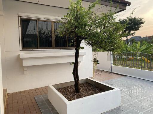 Detached house, single-story, 3 bedrooms, 2 bathrooms, located in a suburban area near Ruen Chok Market.