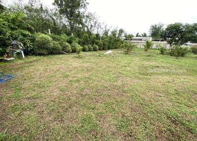 Beautiful 211 square wah land plot, Leveled flatten land, in Buak Kang zone, San Kamphaeng.