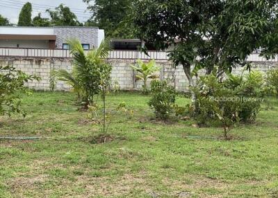 Beautiful 211 square wah land plot, Leveled flatten land, in Buak Kang zone, San Kamphaeng.