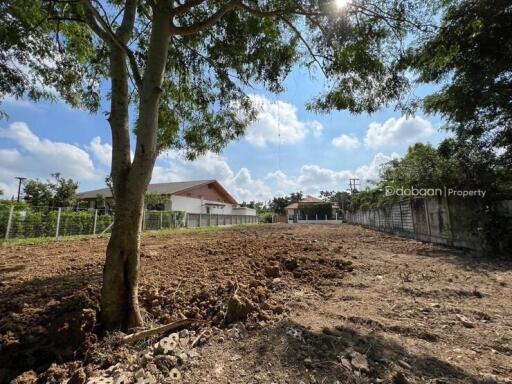 Beautiful land near the city, 214 sq m., not including growing land. Near Charoen Charoen Market