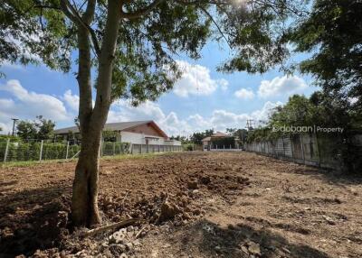 Beautiful land near the city, 214 sq m., not including growing land. Near Charoen Charoen Market