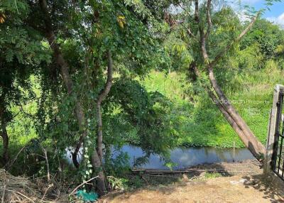 Beautiful land near the city, 214 sq m., not including growing land. Near Charoen Charoen Market