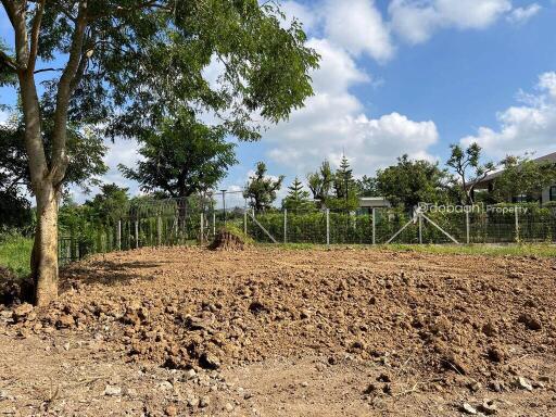 Beautiful land near the city, 214 sq m., not including growing land. Near Charoen Charoen Market