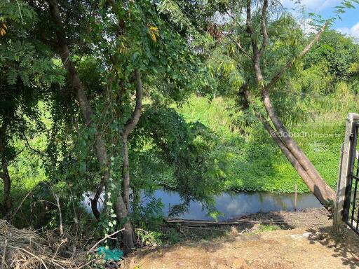 Beautiful land near the city, 214 sq m., not including growing land. Near Charoen Charoen Market