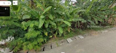 Land 100 sq m. near Chiang Mai 89 Plaza.