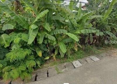 Land 100 sq m. near Chiang Mai 89 Plaza.