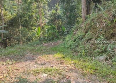 10 rai of land suitable for tourism. Make it a homestay or resort, land with good views and nature.