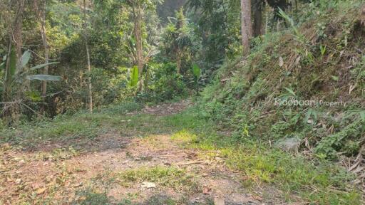 10 rai of land suitable for tourism. Make it a homestay or resort, land with good views and nature.