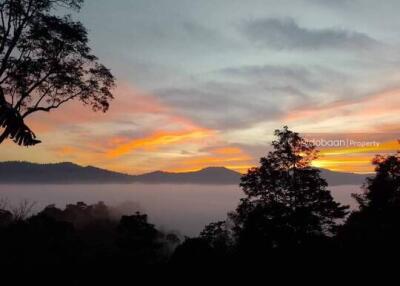 ที่ดิน 10 ไร่ เหมาะแก่การท่องเที่ยว Make it a homestay or resort, land with good views and nature.