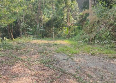 10 rai of land suitable for tourism. Make it a homestay or resort, land with good views and nature.