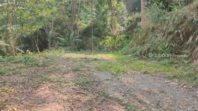 10 rai of land suitable for tourism. Make it a homestay or resort, land with good views and nature.