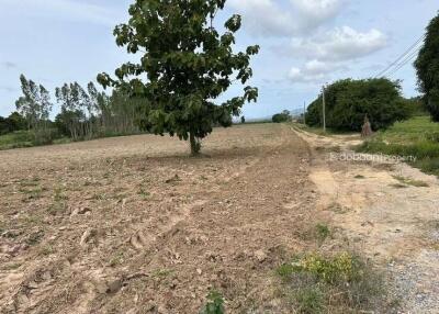 Land area of 2 rai 66 square wah in the San Sai zone, near Mae Jo University.