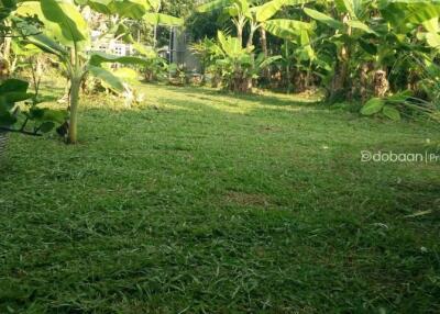 A beautiful 130 sq.wah  land plot located in the Sansai area, near HomePro Sansai.