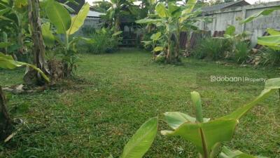 A beautiful 130 sq.wah  land plot located in the Sansai area, near HomePro Sansai.