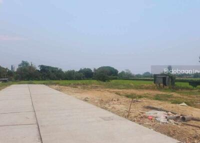 A beautiful 100 sq.wah land plot located in the Chiang Mai city zone, near Kad Ruam Chok.