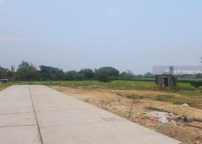 A beautiful 100 sq.wah land plot located in the Chiang Mai city zone, near Kad Ruam Chok.