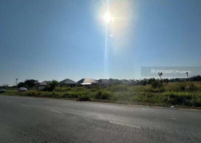 Beautiful 14 rai 1 ngan 55 square wah land plot in San Pa Tong zone, near Hang Gaew Market.