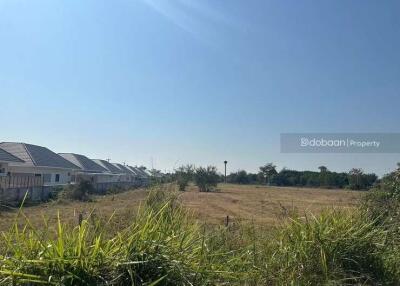 Beautiful 14 rai 1 ngan 55 square wah land plot in San Pa Tong zone, near Hang Gaew Market.