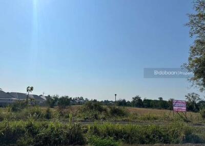 Beautiful 14 rai 1 ngan 55 square wah land plot in San Pa Tong zone, near Hang Gaew Market.