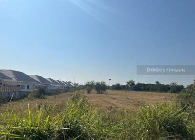 Beautiful 14 rai 1 ngan 55 square wah land plot in San Pa Tong zone, near Hang Gaew Market.