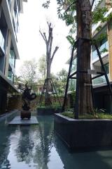 Condominium 1 bedroom, 1 bathroom, near Chiang Mai University.