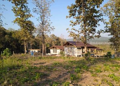 Beautiful land plot of 2 rai, 3 ngan, 48 square wah, located in Doi Saket zone.