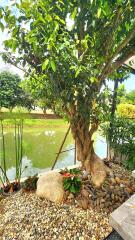 Pool Villa for Sale/Rent in Choeng Doi, Doi Saket