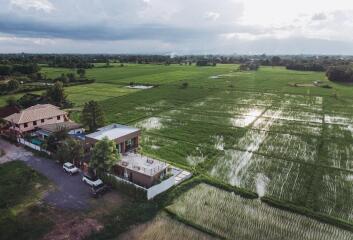 พูลวิลล่าพร้อมวิวนาข้าวที่สวยงาม 180 องศา