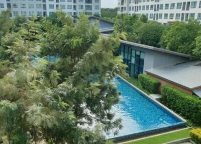 Condo for Sale, Rent at DCondo Nim