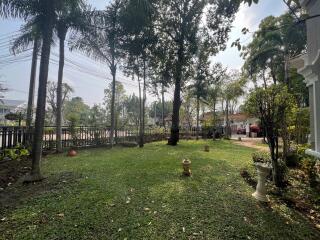 House for Sale in Nong Chom, San Sai.