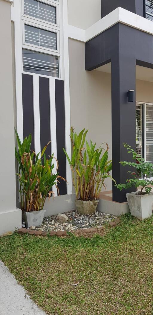 House for Sale in San Kamphaeng , San Kamphaeng.