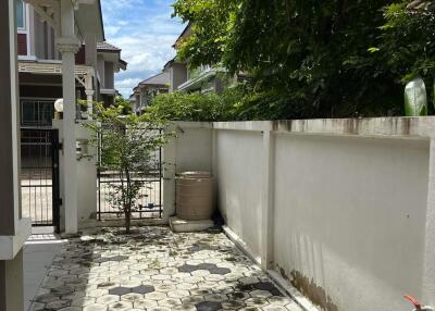 House for Sale, Rent at Ton Pao, San Kamphaeng.