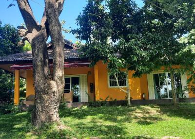 3 Bedroom Homestead in Mae Taeng