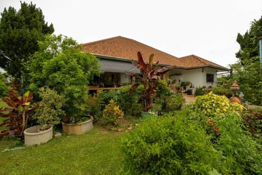 3 Bedroom House with Pool and Large 3.5 Plot in Mae Rim