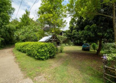 Gallery or Small Home in Mae Rim