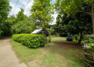 Gallery or Small Home in Mae Rim