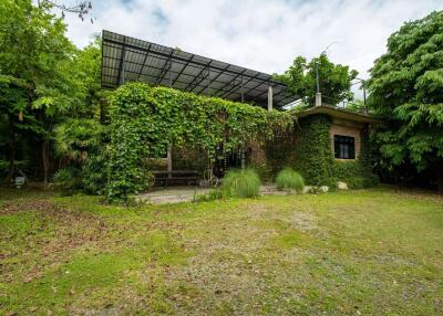 Gallery or Small Home in Mae Rim