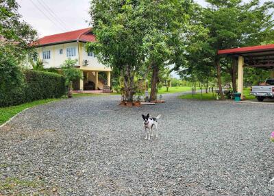 ขายบ้านริมทะเลสาบชนบท 5 ไร่ในดอยสะเก็ด