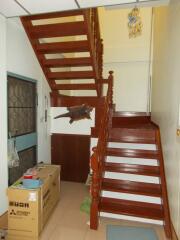 Wooden staircase with brown steps, fish wall decoration, and packing boxes