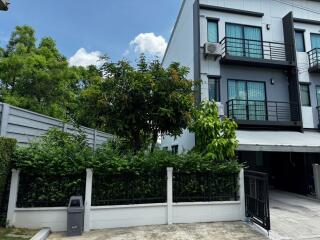 Exterior view of a modern house with greenery