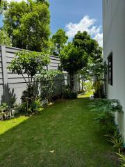 Lush green backyard with trees and plants