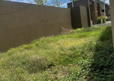 Overgrown backyard with tall grass and a brown fence