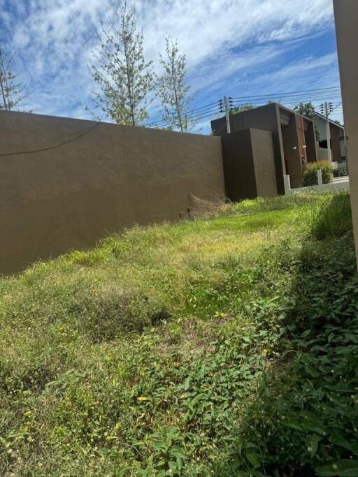 Overgrown backyard with tall grass and a brown fence