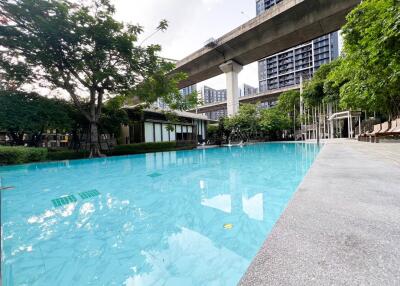 Swimming pool area