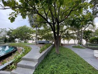 Beautiful landscaped garden with trees and pathways