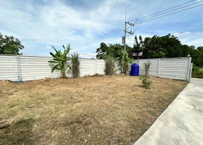 Fenced backyard with dry grass and some plants