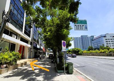 Street view of commercial buildings and sidewalk with trees on a sunny day