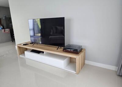 Modern living room with TV console