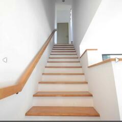 Indoor staircase with wooden handrail leading to a closed door