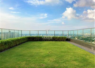 Rooftop garden with glass railings and a view of the city